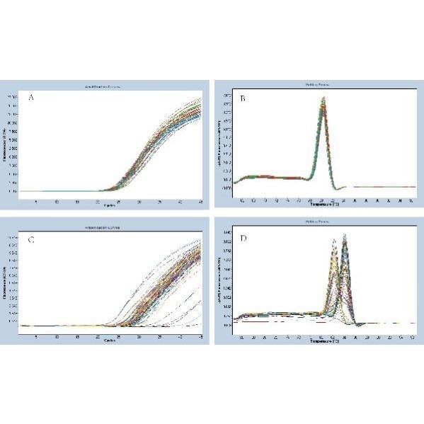 热图韦恩图火山图森林图气泡图单细胞miRNA靶基因转录组RNAseq