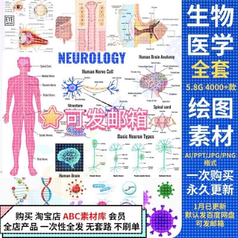 【科研绘图】ppt素材ai模板生物医学可编辑插图细胞流程图通路图