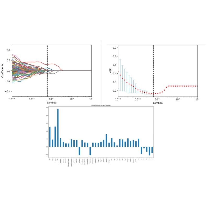 生信分析服务生存分析KM算法列线图三线图 Hazard rateCox回归