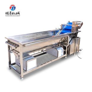 果蔬净菜加工设备分离式循环过滤水箱旋流冲浪果蔬清洗机洗菜