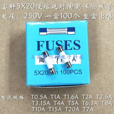 5X20mm富轩 慢熔 陶瓷保险丝 T10AL250V 延时保险丝管 250V T10AH