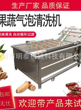全自动果蔬气泡清洗机小龙虾超声波清洗设备桃子苹果西红柿清洗机