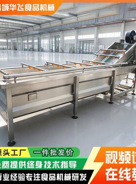 气泡清洗机商用大型瓜果肉类龙虾海产品果蔬洗菜机解冻机流水线