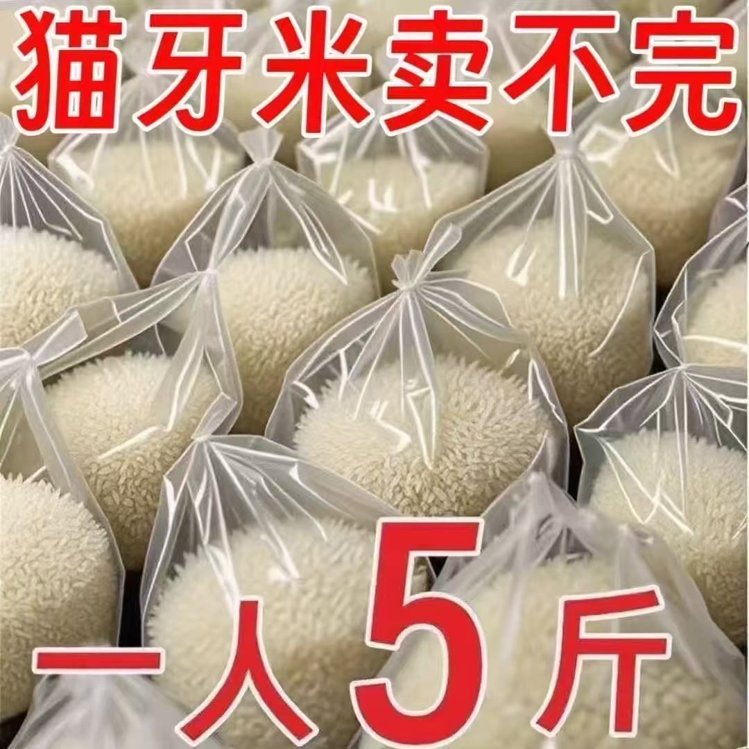 特价】长粒香米猫牙米当年新米猫牙优选0添加长粒鲜大米现新鲜发