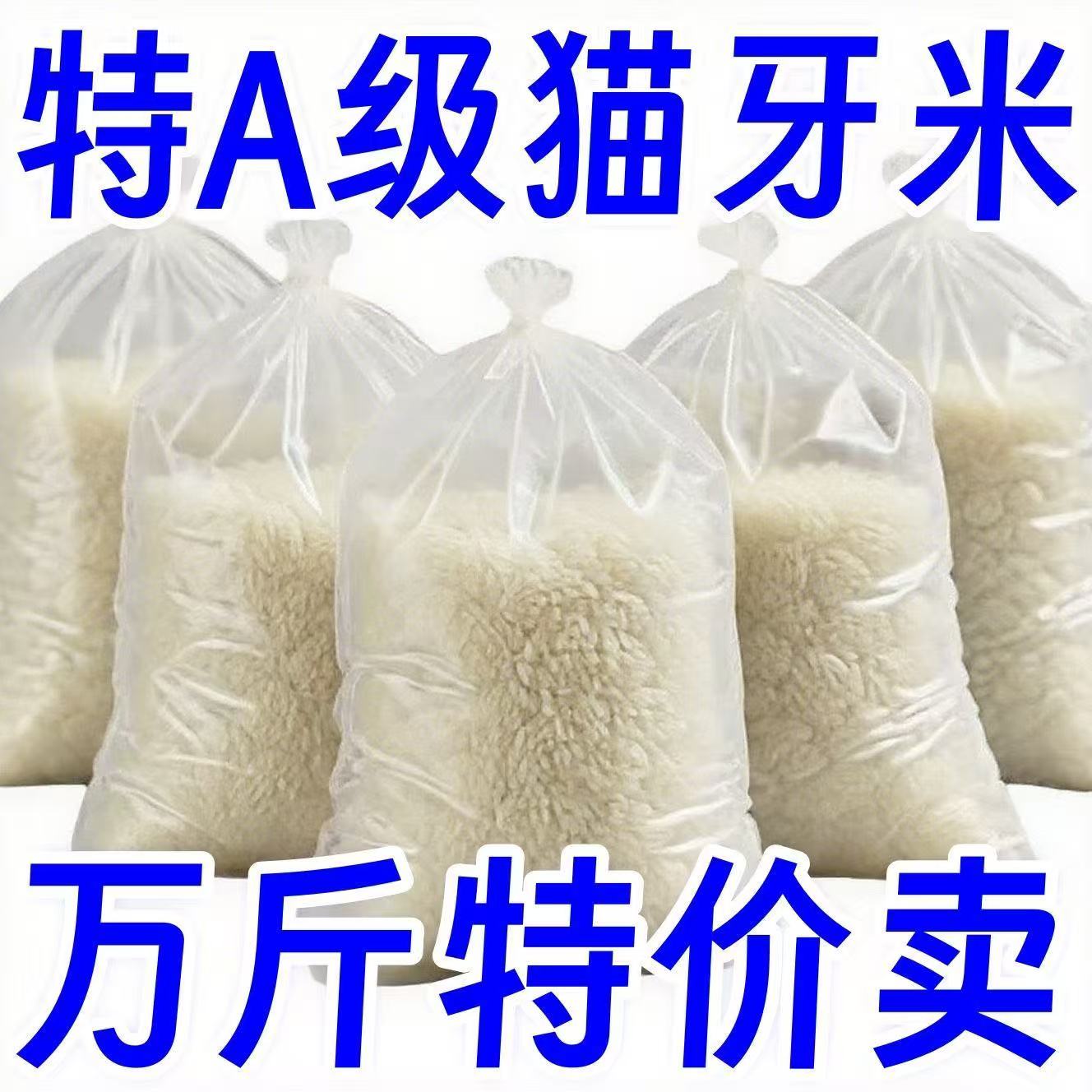 新米】10斤长粒猫牙米优质大米百合长粒百合煮饭干熬粥长款5斤1斤