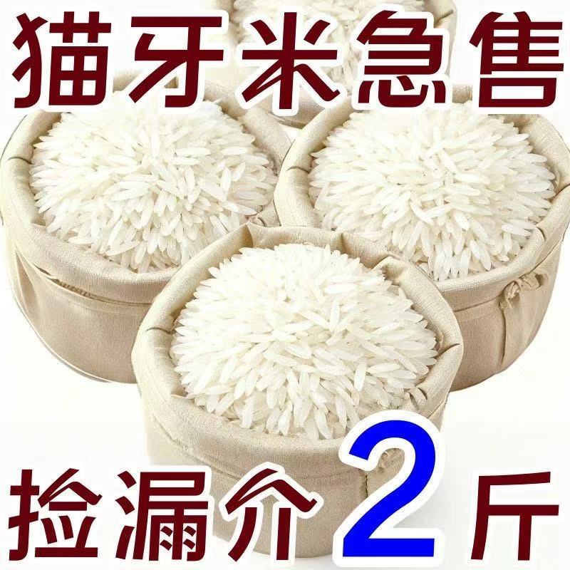 【太便宜】新米猫牙米长粒香米正宗农家细长米猫牙优质大米批发装