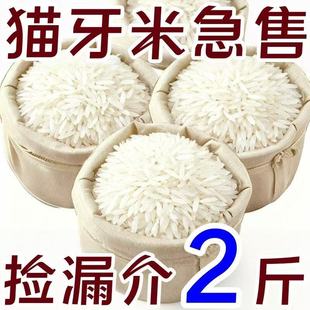 新米猫牙米长粒香米正宗农家细长米猫牙优质大米批发装 太便宜