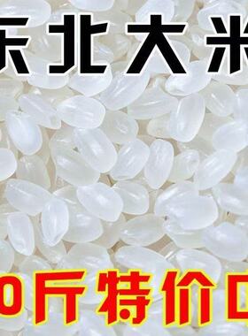 【东北新米】正宗东北稻香新大米5斤10斤20斤厂家直供批东北大米