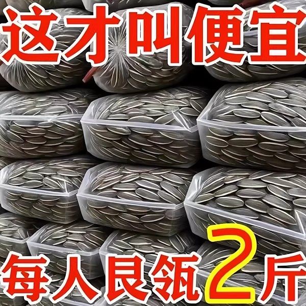 【净重二斤】原味瓜子新货现炒现发葵花籽大颗粒内蒙古瓜子零食