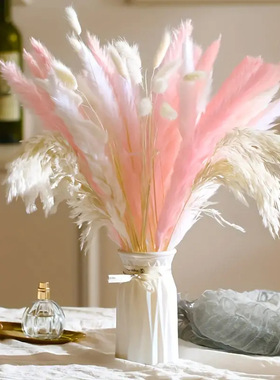 永生花兔尾草干花花材大花束狗尾草家居摆件拍摄道具装饰花60支