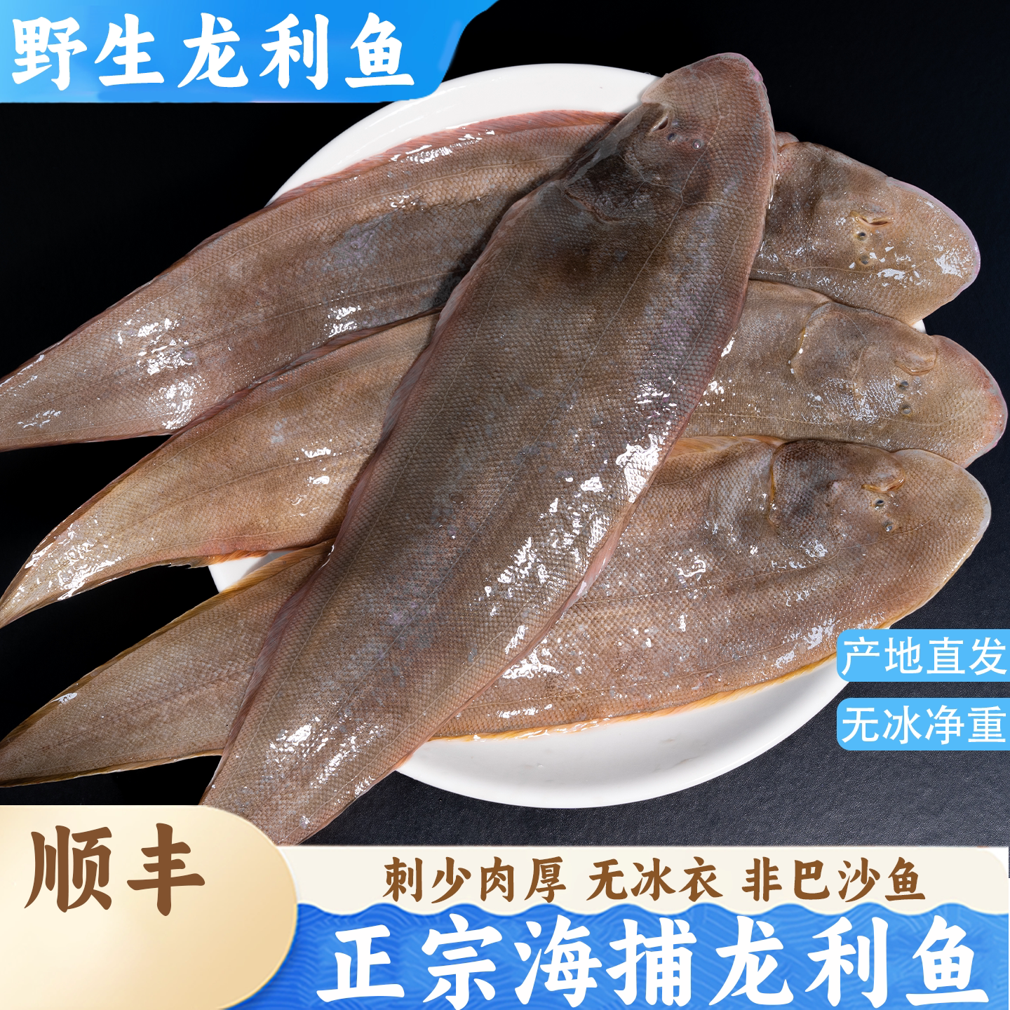 正宗高品质龙利鱼整条鲜活冷冻牛淡水鱼类