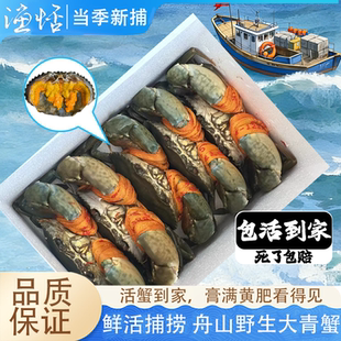 青蟹鲜活野生三门特大海蟹公母蝤蠓肉蟹全母螃蟹黄油蟹红鲟蟹顺丰
