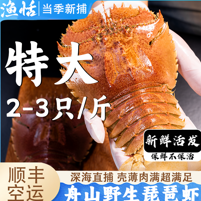 舟山鲜活琵琶虾鲜活发货特大虾姑活虾排九齿扇虾濑尿虾包鲜不包活