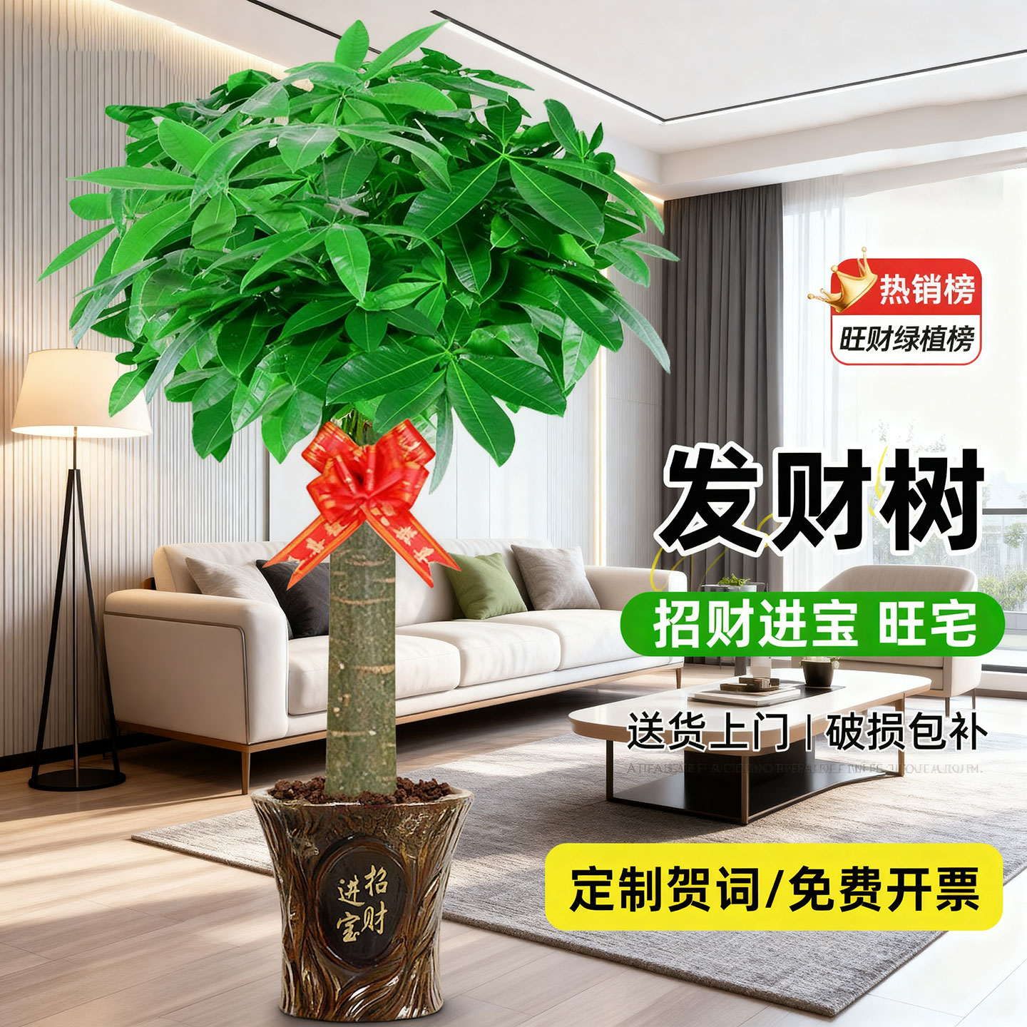 发财树大型绿植四季常青植物