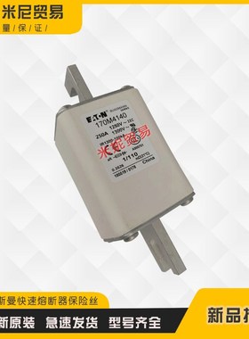 快速保险丝熔断器170M4163 170M4164 170M4165 170M4166全新