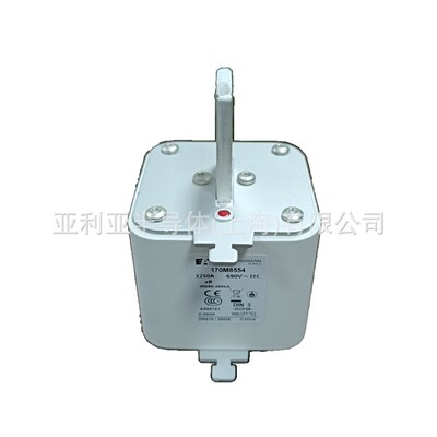 巴斯曼保险丝170M8618电子元器件数量充足高压快速熔断器