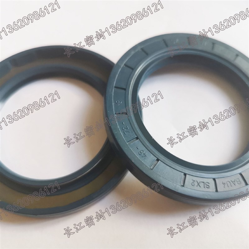 减速机油封CZ A CFW BAU5SLX2 82-160-13/10