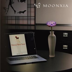 MOONXIA观音净瓶磨砂版 高级感插画花花瓶玻璃花瓶简约客厅