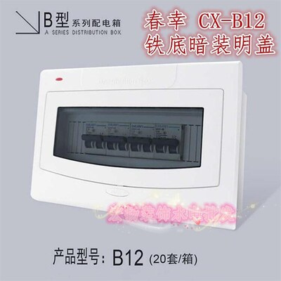 春幸配电箱照明箱i家用电CX-B12豪华型断路器组合配电箱暗装12回