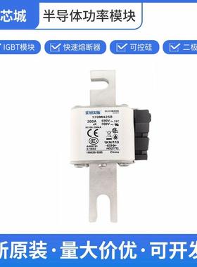 圆柱形熔断器交流保险丝巴斯曼170M4258全国发货批次22+