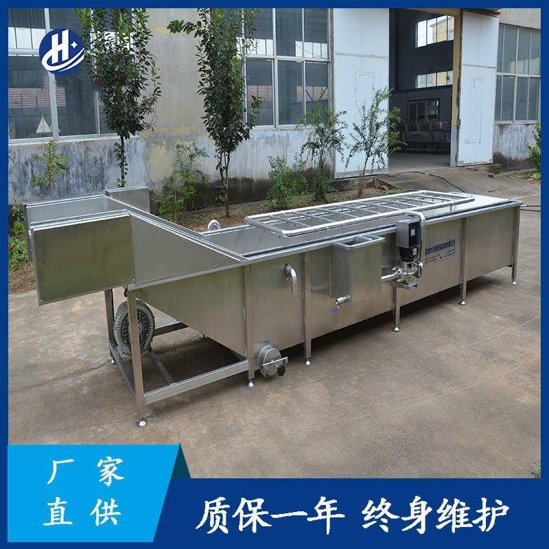 全自动气泡清洗机生姜气泡清洗机菠菜清洗机李子清洗机手动清洗机
