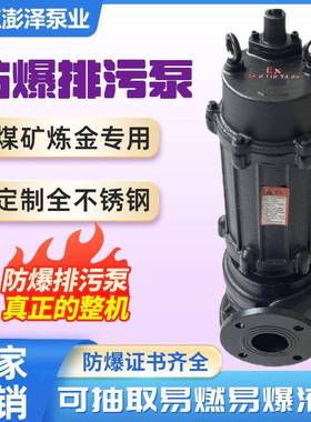 防爆排污泵BT4铸铁HWQ加油站化工煤矿EX矿用CT4防爆国标排污泵