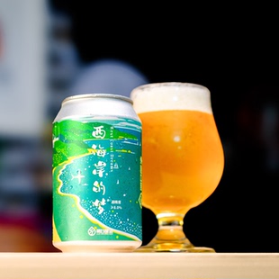 惠同学 明日酿造高风险区北境之光朦胧的梦北境之光 精酿啤酒6罐