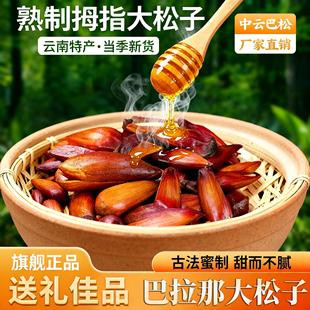 巴拉那大松子云南特产野生拇指松子坚果零食中云巴松孕妇儿童可食