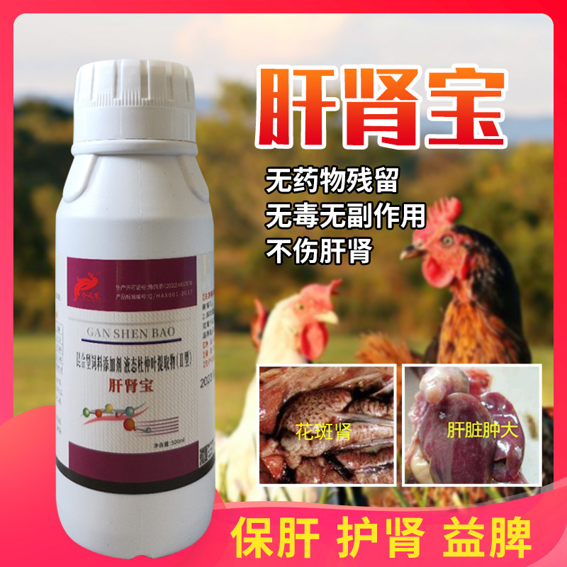 肝肾宝鸡鸭鹅鸽i子禽用保肝护肾通肾花斑肾传支痛风清除体内毒素