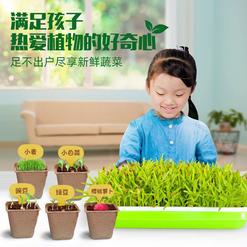 儿童盆栽小植物幼儿园观察种子生长科学实验套装小学生diy盆栽