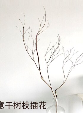 天然干树枝装饰干树枝原木diy禅意枯枝摆件干枝造景插花客厅饰品