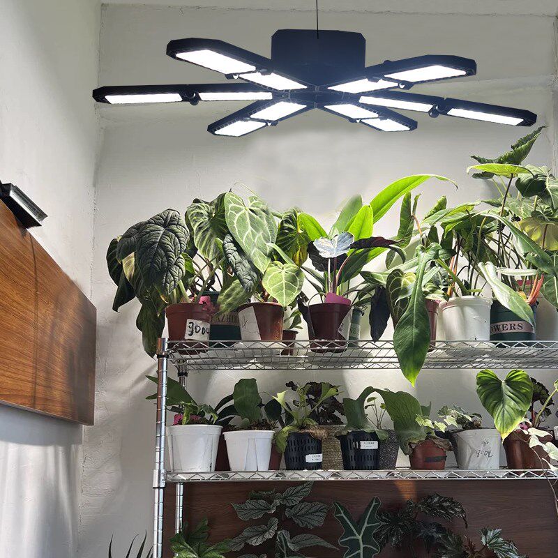 植物补光家用室内开花可折叠热植全光谱LED植物生长灯仿太阳光