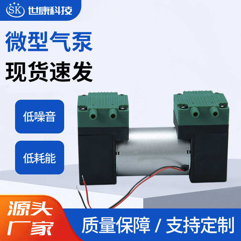 2AP51-1双头微型隔膜DC12V小型气磅喷枪抽打两用真空电动静音气泵