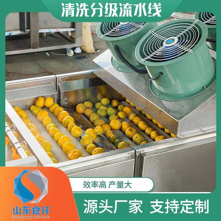 全自动果蔬重量分选机商用滚杠式新疆大枣分级机苹果橘子分级机,清洗/食品/商业设备,其他食品加工设备,淘宝优惠券,粉丝福利购,淘宝优惠卷