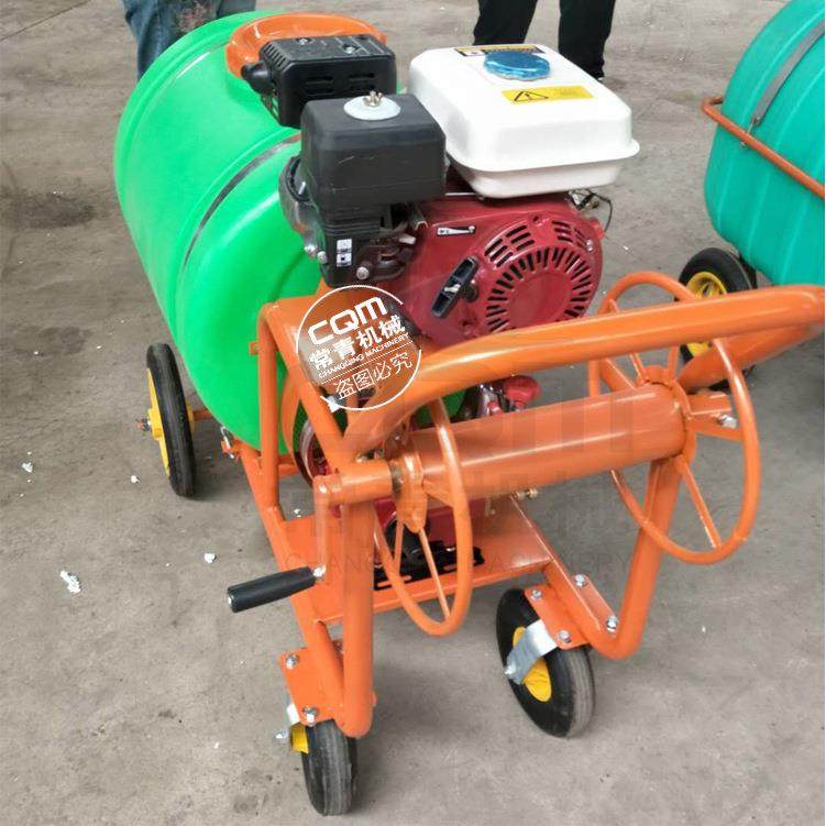手推式全自动汽油打药机大功率高压喷洒机农田果园00L喷药机,农机/农具/农膜,植保机械,淘宝优惠券,粉丝福利购,淘宝优惠卷