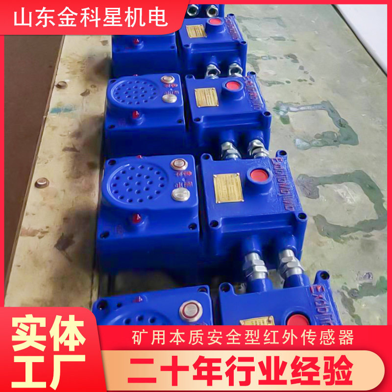 矿用隔爆本安声光信号器