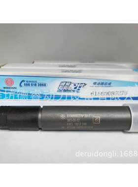 潍坊WD615/WD10柴油机发动机配件61560080276喷油器