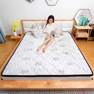 棕垫天然椰棕床垫棕榈儿童护脊1米2家用床太软加硬神器可折叠