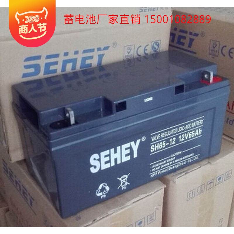 西力12V65Ah铅酸免维护蓄电池