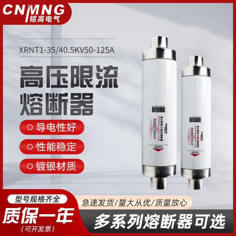 变压器保护用35KV高压限流熔断器XRNT1-35/40.5KV50-125A负荷开关
