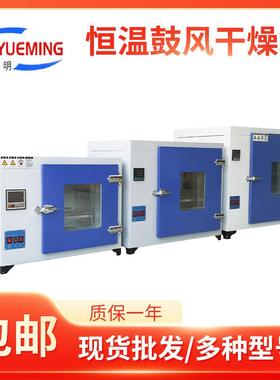 101A-3B电热恒温鼓风干燥箱500*600*750300度液晶屏恒温干燥箱