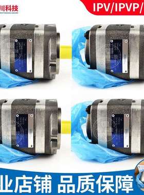 替福伊特齿轮泵IPV/S4/5/6/7-80/100-101内啮合德国voith液压油泵