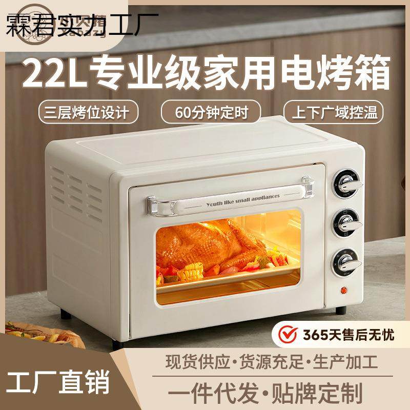 2025烤箱家用烘焙二合一电烤箱22升大容量微蒸烤炸一体机无