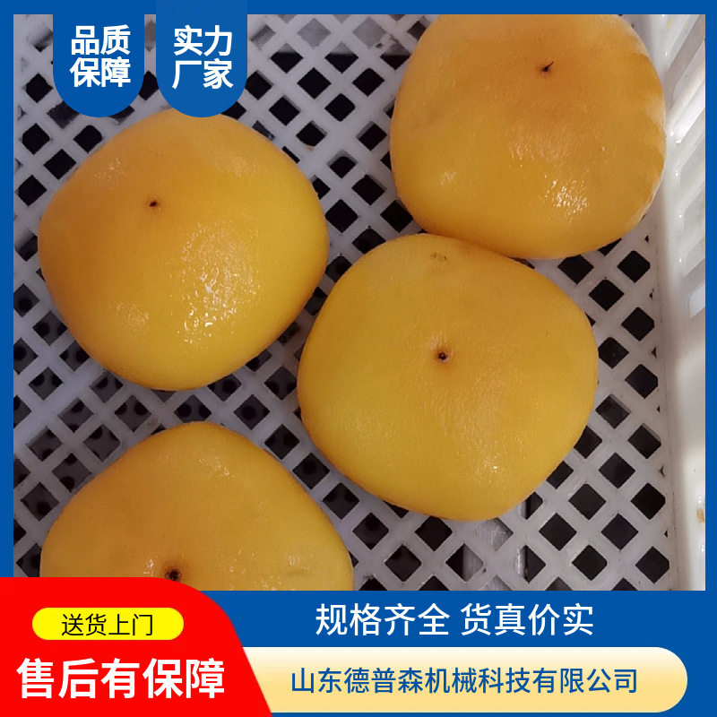 多品类果蔬蒸汽去皮机全自动纯物理去皮机
