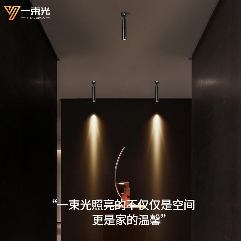 一束光聚光明装调小角度复古咖啡厅小酒馆吧台火锅店灯,家装灯饰光源,明装射灯,淘宝优惠券,粉丝福利购,淘宝优惠卷