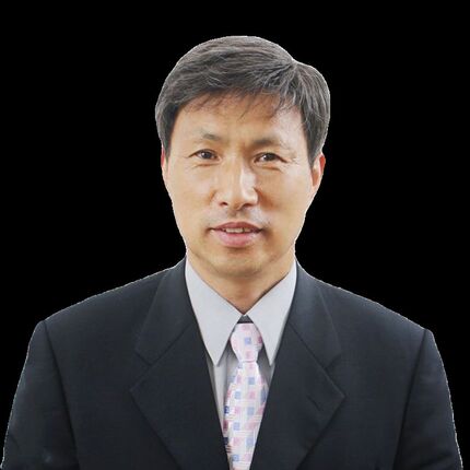 100%真人发丝花白假发真发全真人发中老年爷爷灰白男士全头套短发