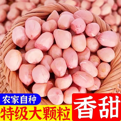 河南无壳白沙花生米粉红皮