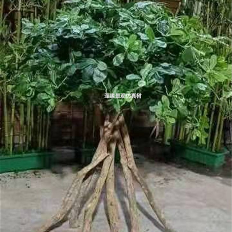 仿真红树林假树带根福禄桐t假树热带造景装饰落地摆件水族馆假绿