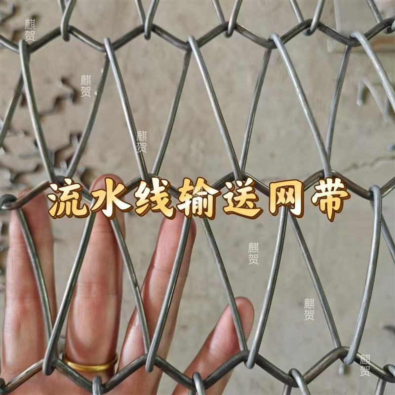流水线输送网带蛋托鞋底厂喷漆流水线输送带不锈钢网带金属传送带