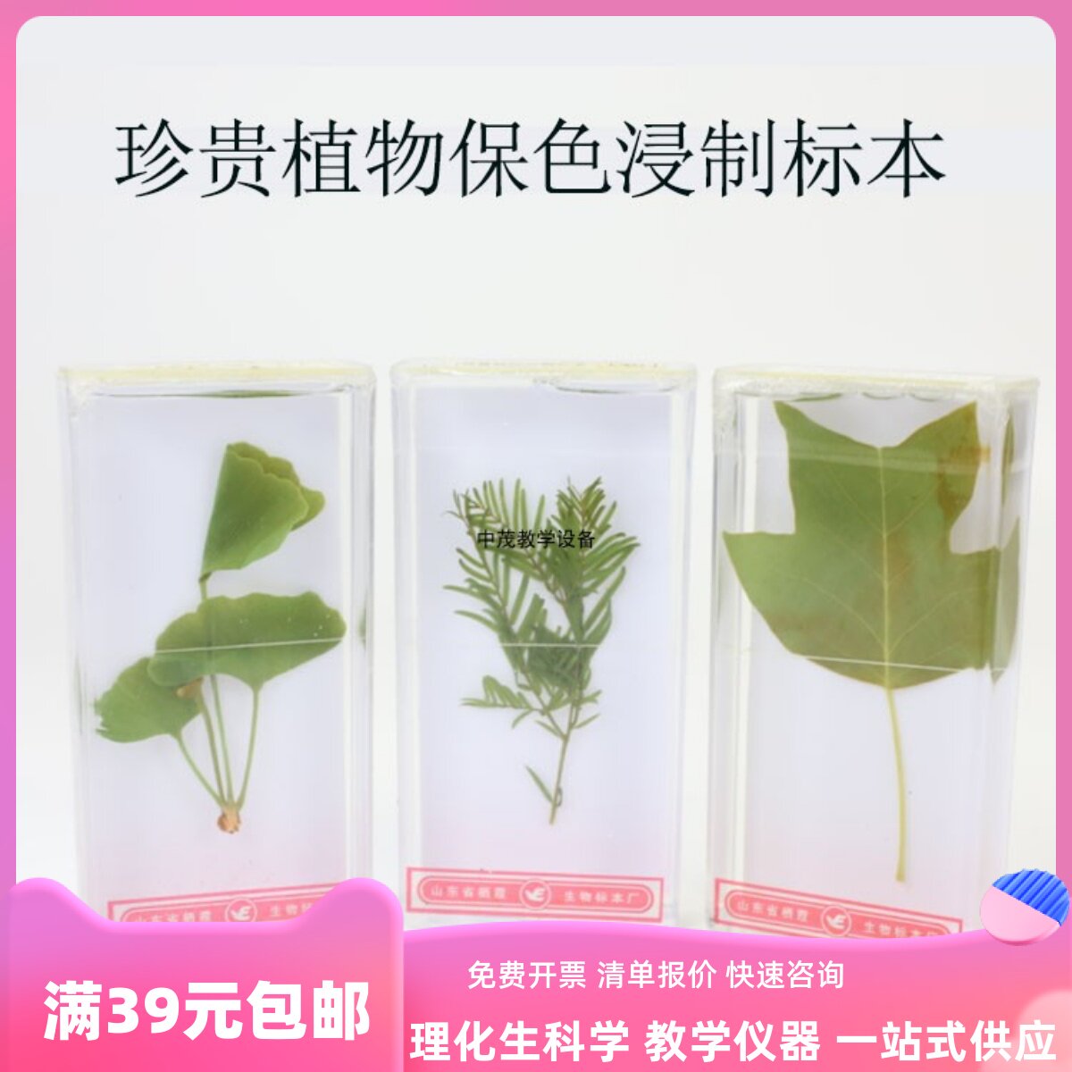 珍贵植物a保色浸制标本红藻类植物保色浸制标本褐藻类植物保色浸